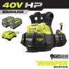 RYOBI 40V HP Brushless Whisper Series 165 MPH 730 CFM Cordless Battery Backpack Blower with (2) 6.0 Ah Batteries and Charger -Outdoor Power Equipment Sales Store ryobi cordless leaf blowers ry404170vnm 64 1000