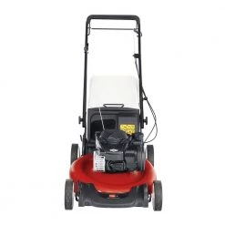 Toro Recycler 21 in. Briggs and Stratton Low Wheel RWD Gas Walk Behind Self Propelled Lawn Mower with Bagger -Outdoor Power Equipment Sales Store toro self propelled lawn mowers 21352 4f 1000