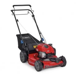 Toro 22 in. Recycler SmartStow Briggs & Stratton High Wheel FWD Gas Walk Behind Self Propelled Lawn Mower